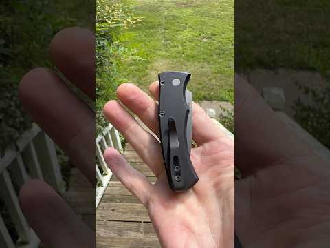 Protech Duke 2.