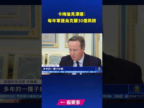 环球- 卡梅伦见泽连斯基：每年军援乌克兰30亿英镑