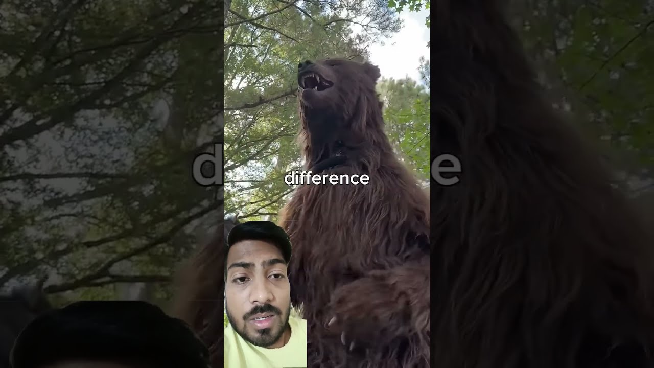 Fake Animal Guy S Mrbeast Mrbeastshorts Shorts