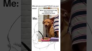 i might cry fr 😓 #fyp #dogmemes #funnydogs #cute #dogshorts #fyp #viral
