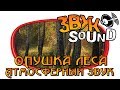 Опушка леса (Атмосферный звук) /  Edge of the forest (Atmospheric sound)