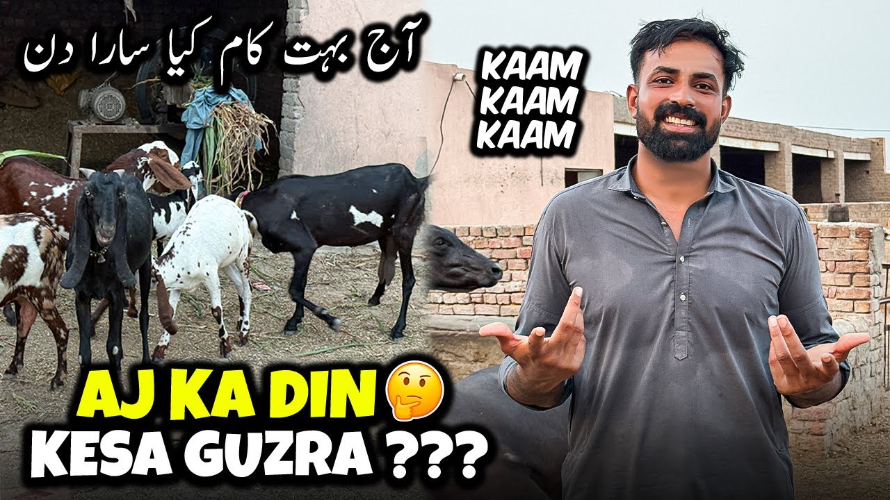 Waqar Bhinder Ki aj Ki Routine 🤔 | گرمی بہت تھی آج سارا دن بہت کام کیا