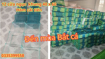 12 cửa ngục lú thái lan hôm cải tiến, Bắt cá to. Đến mùa thu thủy sản