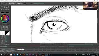tvpaint test