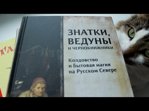 Магия? 🧙‍♀️ 🔮 Фольклор и антропология!📚 И кот🐈