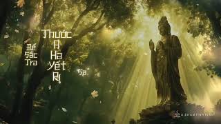 Non  Ai Nh  Bo Lun Vng  La Ni 1 Ting   Diu m Tnh Tun