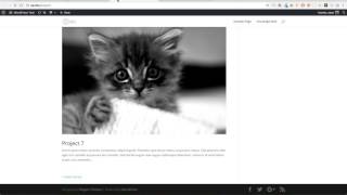Divi Loop Archive Intro