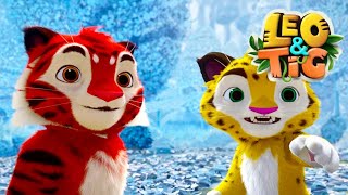 Leo \& Tig 🐯 All Episodes Compilation (Ep 15 -20) ⭐️ | Super Toons - Kids Shows \& Cartoons