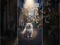 道路で出会った運命。私を離さない子猫との約束 #感動猫動画 #野良猫の現実 #野良猫