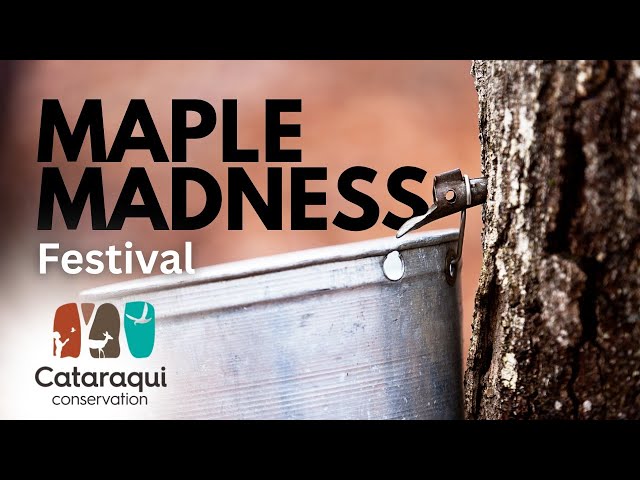 Maple Madness Festival in Kingston, Ontario