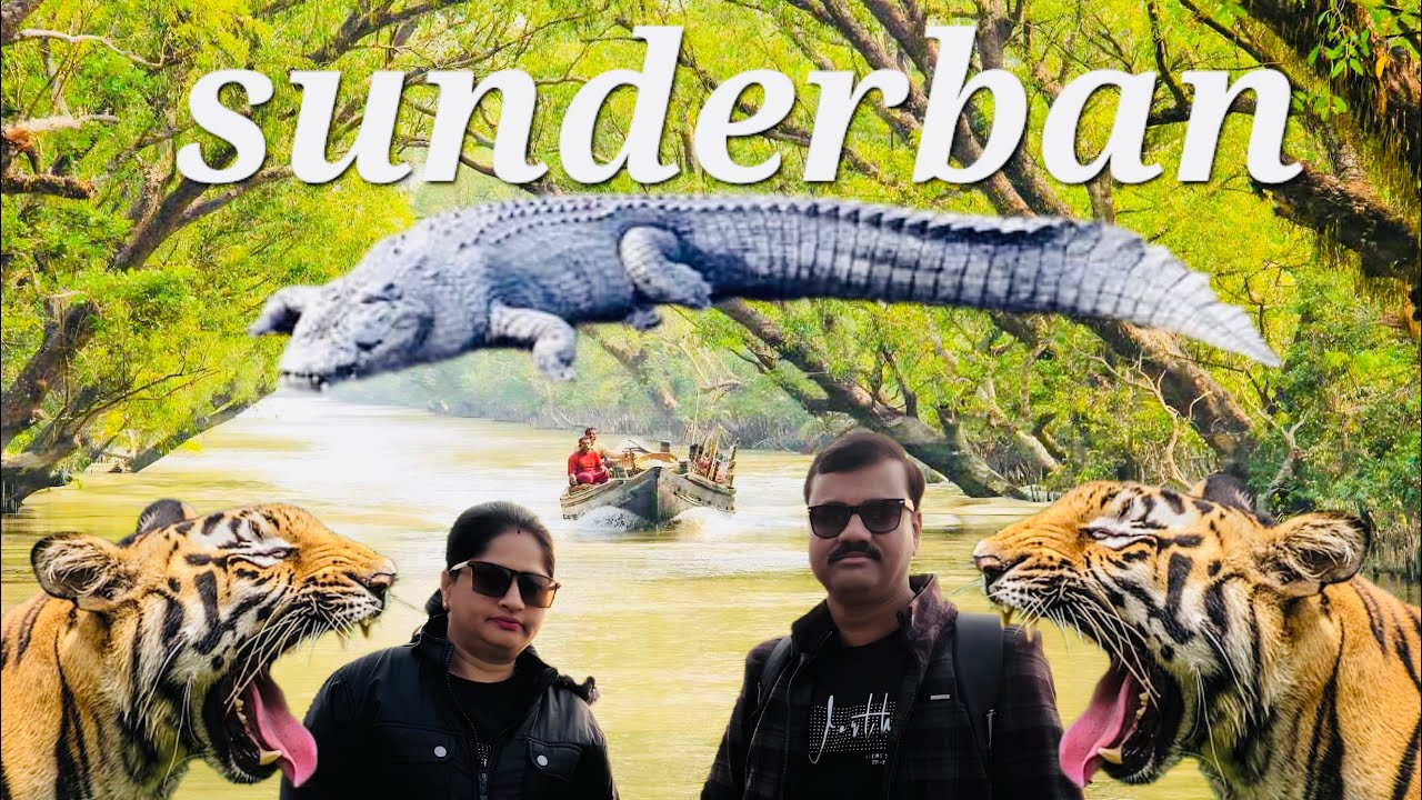 Sundarban Travel Vlog | 
