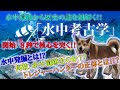 「水中考古学」-水中遺跡から歴史の謎とロマンを紐解く！-