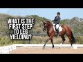 WHAT IS THE FIRST STEP TO LEG YIELDING - Train With Tash TV 22nd August