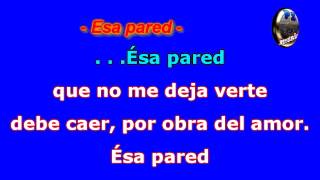 Video thumbnail of "Leo Dan - Mosaico Karaoke (PZ music)"