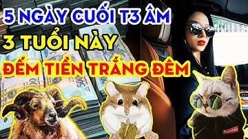 Thần Tài Gọi Tên, 3 Con Giáp, Liên Tục TRÚNG TO, Thức Trắng Đêm Đếm Tiền, 5 Ngày Cuối Tháng 3 Âm.