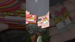 Ground Bloom Flower by Brothers Pyrotechnics X2 @mjbfireworks