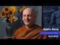 Live from birken dhamma qa with ajahn sona 02112024