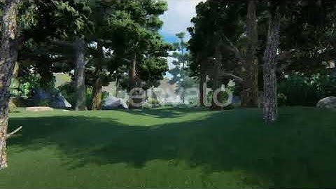 Coniferous Forest Growing In The Mountains 2k | Motion Graphics - Envato elements