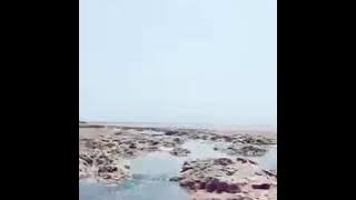 Basisir laut kidul,  #alker92