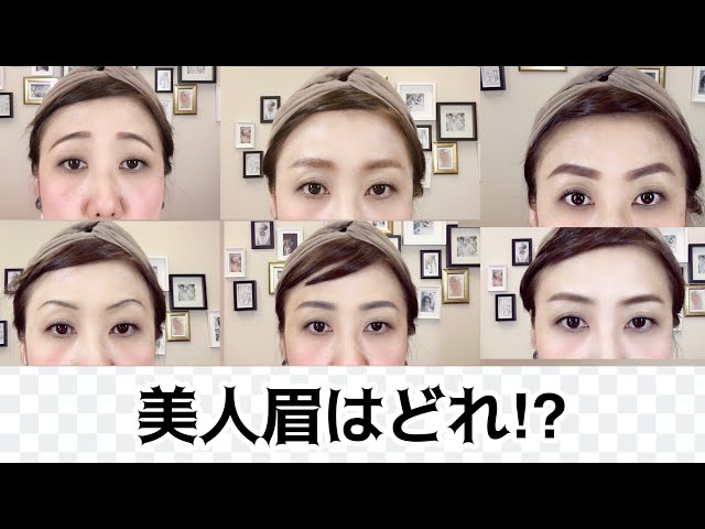 【未使用品】眉本 EYEBROW PROFESSIONAL METHOD 専門書 アイブロウ プロフェッショナル メソッド～眉の教科書