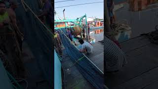 Download Lagu Proses naikkan pukat kekapal #pukatharimau #trending #viralvideo  MP3