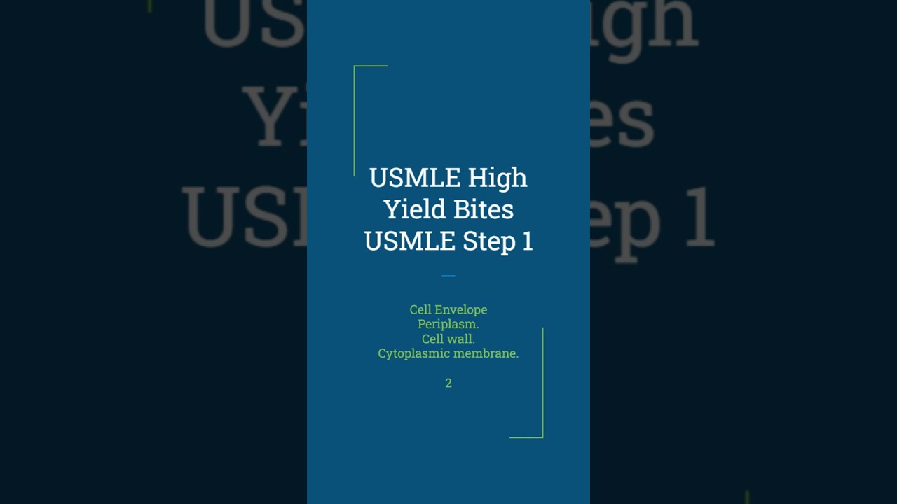 🔬 Why Gram-Negative Bugs Resist Antibiotics? Bacterial Cell Envelope USMLE Step 1 High-Yield 🦠💊