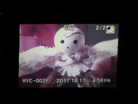 Floppy Disk Camera -- Sony Mavica MVC-FD85