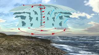 Florida tropical storm Debby weakens to tropical depression