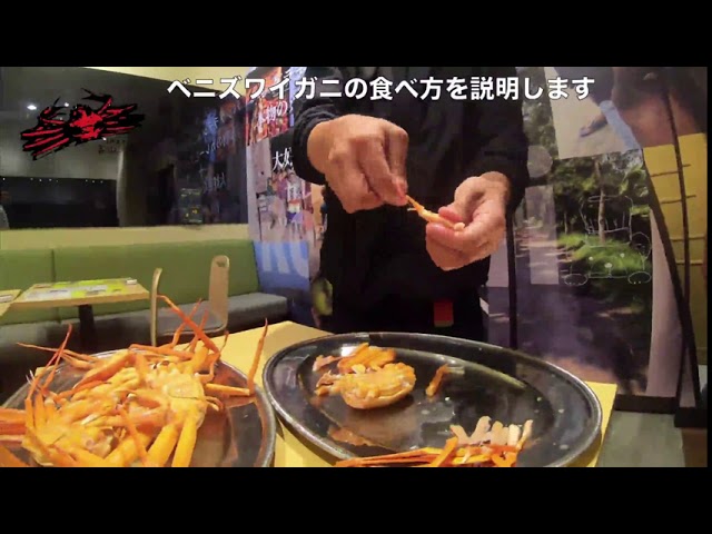 富山湾蟹 ベニズワイガニの食べ方をご説明させていただきます Youtube