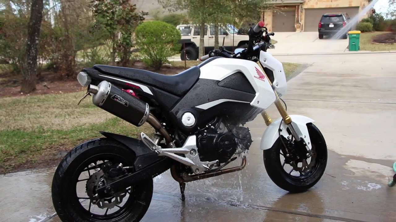 2015 Honda Grom WASH YouTube