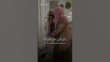 ما تيسر من سورة التوبة | لفضيلة الشيخ د.#الوليد_الشمسان من #مسجد_قباء