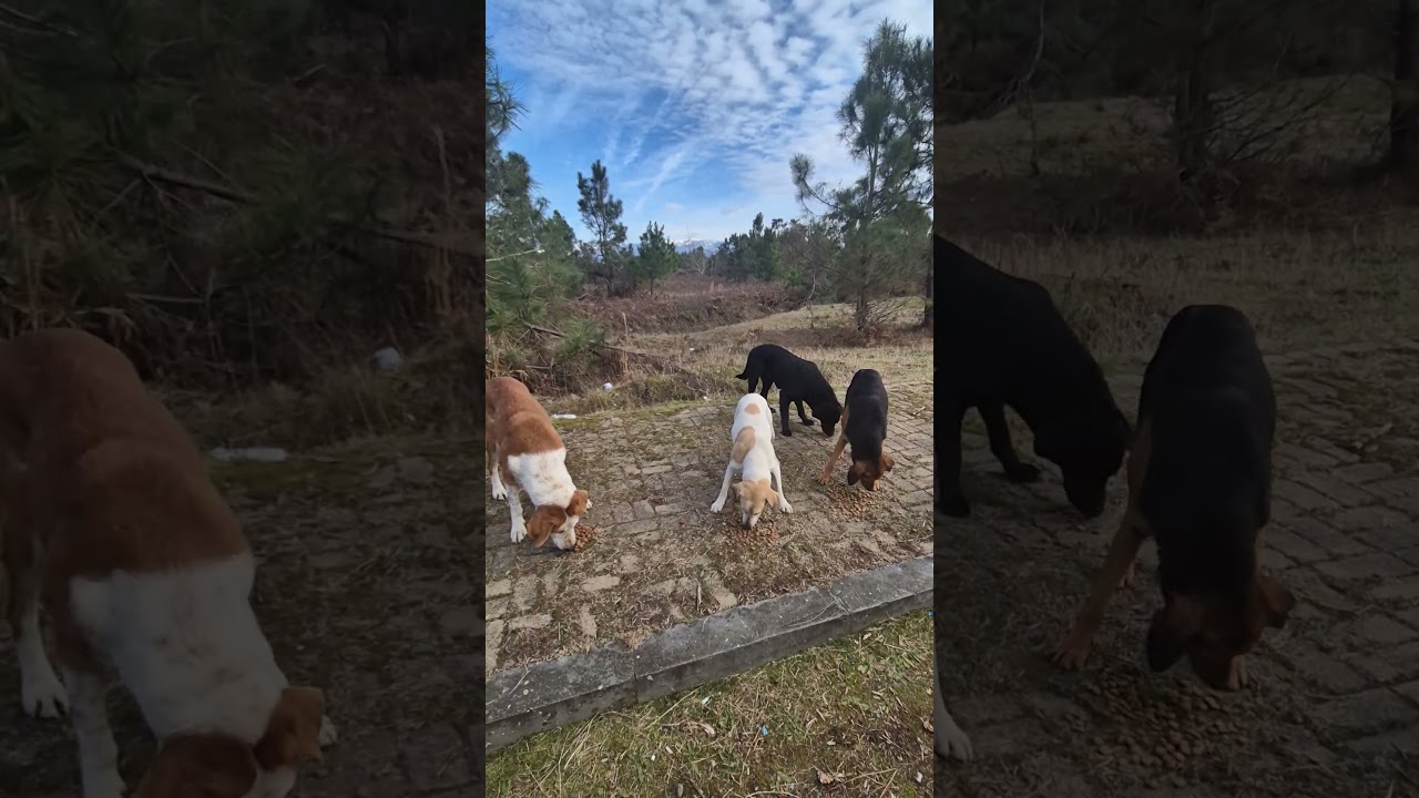 Когда я ем ....