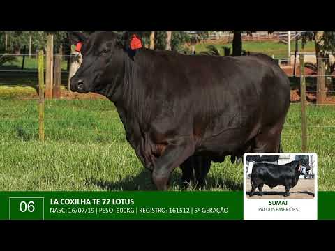 LOTE 06 A LA COXILHA TE 72