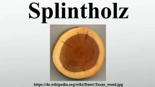 Splintholz