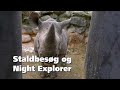 Staldbesøg