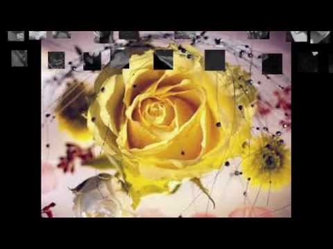 عرض مدرسة أم عمارة