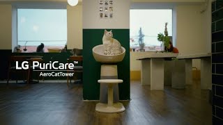 LG PuriCare™️AeroCatTower Air Purifier | Cat Cafe