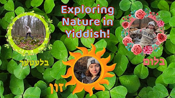 Nature in Yiddish: Words That Will Make You Smile