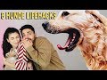 8 HUNDE Lifehacks mit PAOLA MARIA (+ Mega Gewinnspiel)