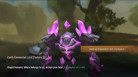 Crusaders of Light: Elemental Leader (Torture 2 Difficulty) First try!