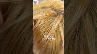 복구탈색 백금발 #탈색 #블랙빼기 #백금발 #염색 #홍대