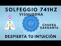 🎶741 Hz Despierta tu intuición I Vida más saludable y feliz I Activación del chakra VISHUDDHA 💙