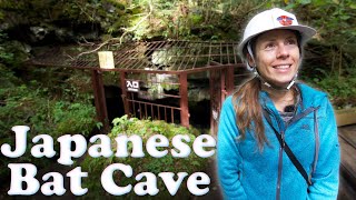 Biking to a Bat Cave in Japan! 🦇