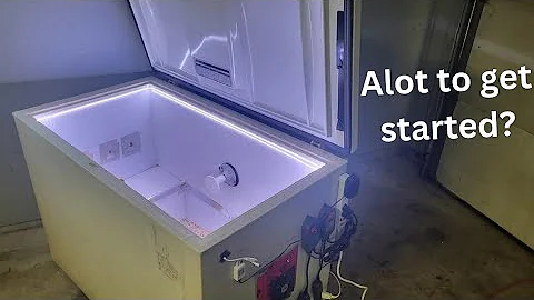 Beetle Skull Taxidermy How Much is it to get started? Dermestid Beetles