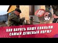 КАК ВАРИТЬ КАШУ СВИНЬЯМ. САМЫЙ ДЕШЕВЫЙ КОРМ?