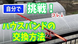 自分で挑戦！　ビニールハウスのハウスバンドを交換する方法