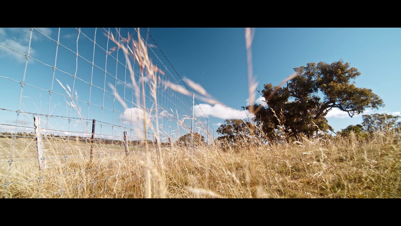 Clipex | Exclusion Fencing