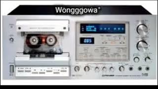 17. TAHUN - ELVY SUKAESIH - OM. SONETA - PIMP. RHOMA IRAMA