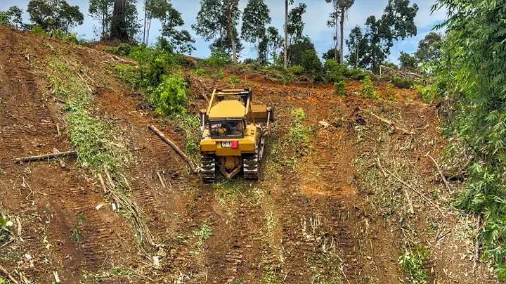 The Extraordinary Power of the CAT D6R XL Bulldozer Engine When Climbing Mountain Cliffs