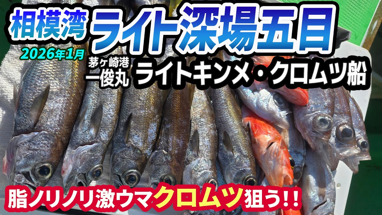 【相模湾ライト深場五目】ライトキンメ・クロムツ船◆連日好釣果の続いている相模湾で脂ノリノリのクロムツを狙う【茅ヶ崎 一俊丸】《4K動画》2026.1.18